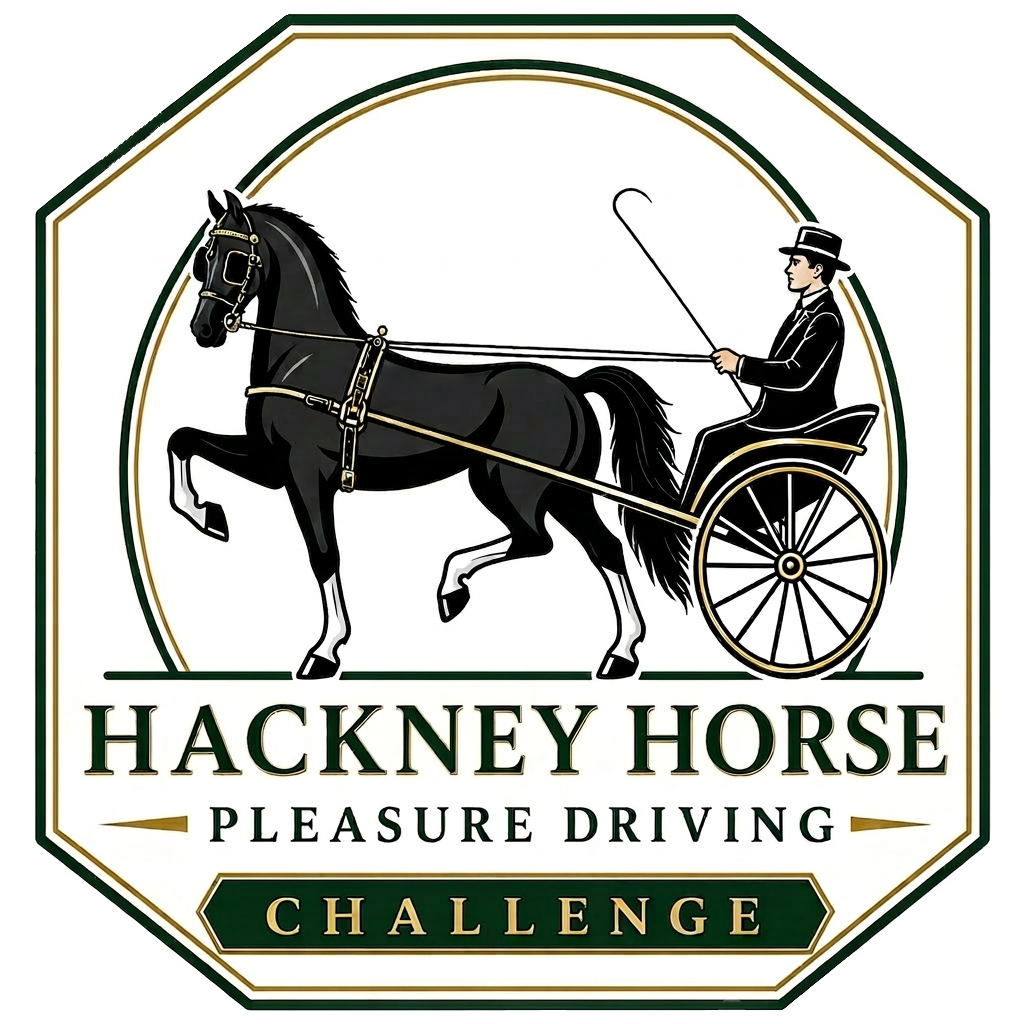 hackneychallenge.com
